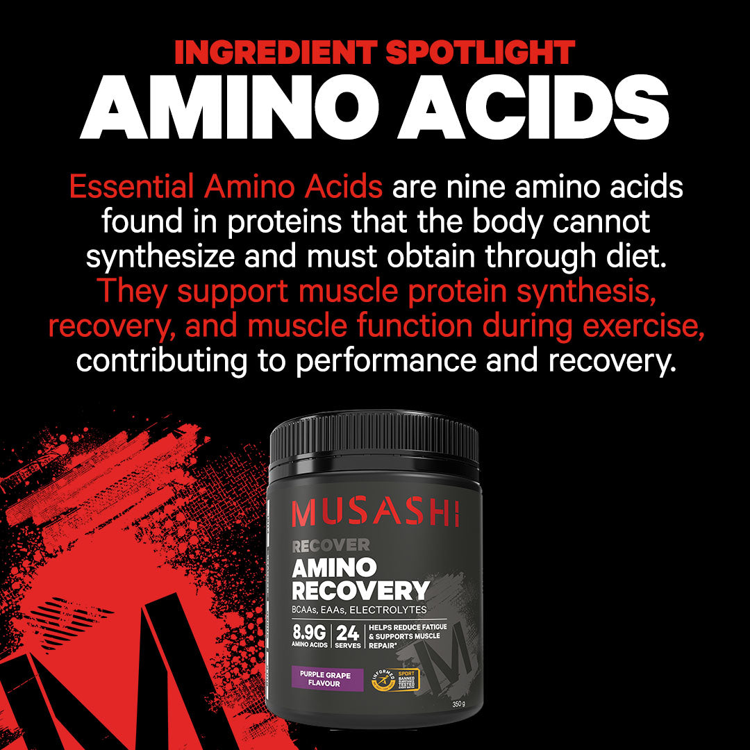 Musashi Amino Recovery 350g - Ingredient Spotlight