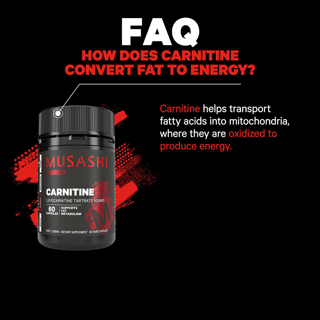 Musashi Carnitine 60 Capsules - FAQ