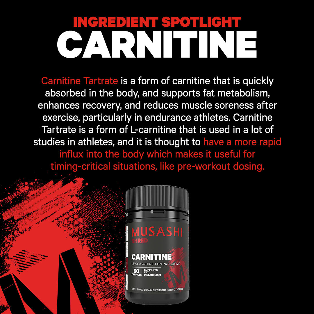 Musashi Carnitine 60 Capsules - Ingredient Spotlight