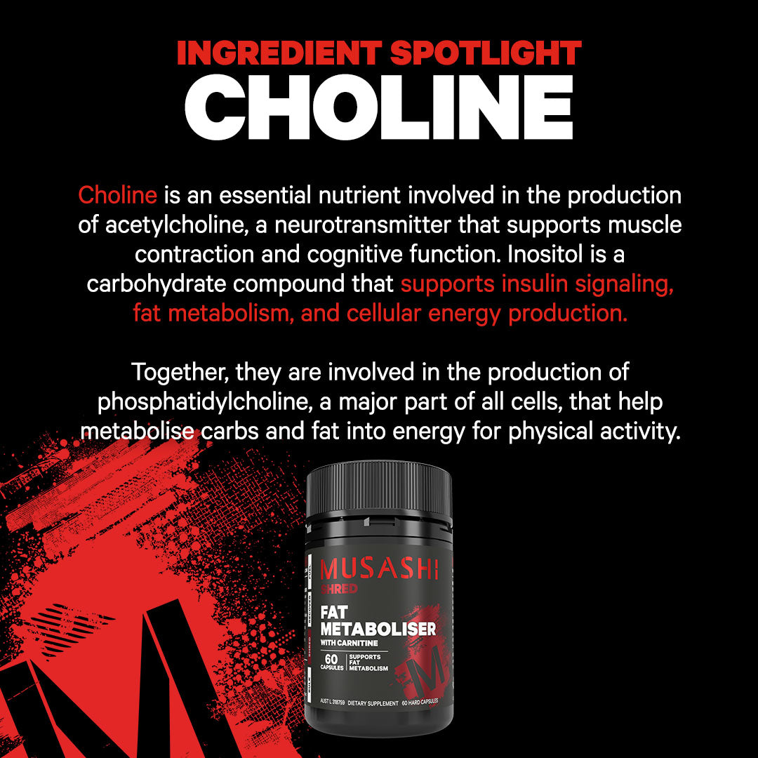 Musashi Fat Metaboliser with Carnitine 60 Capsules - Ingredient Spotlight
