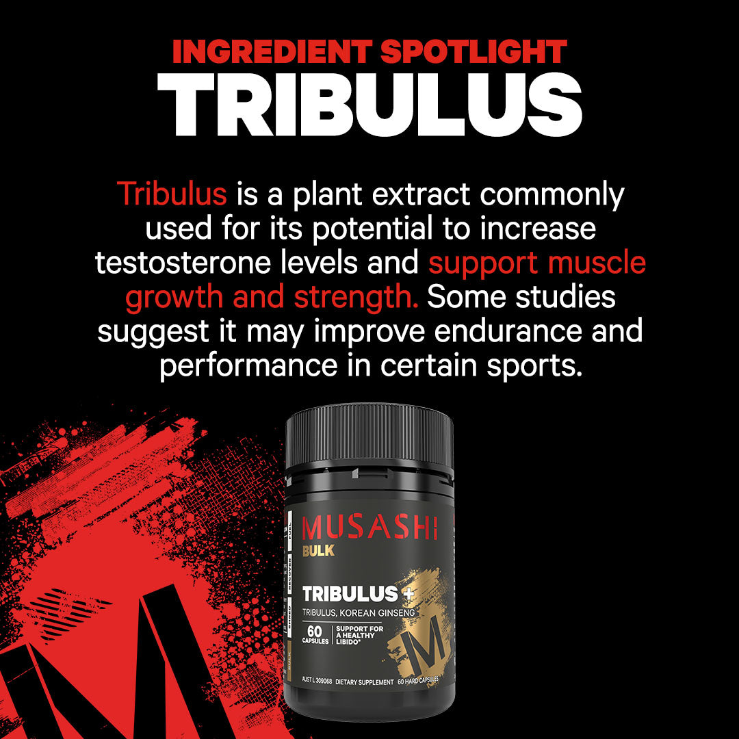 Musashi Tribulus+ 60 Capsules - Ingredient Spotlight