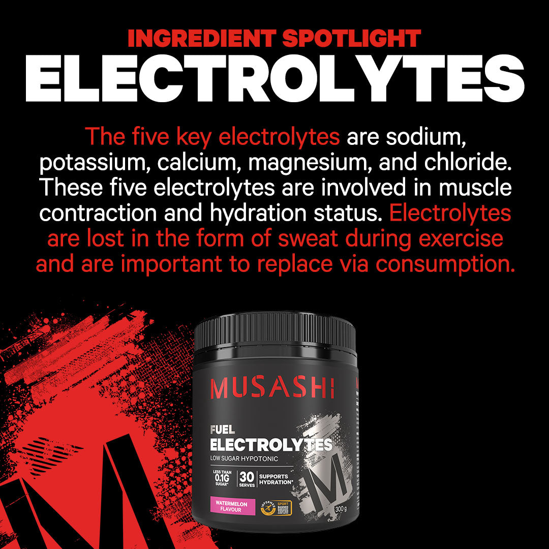 Musashi Electrolytes 300g - Ingredient Spotlight