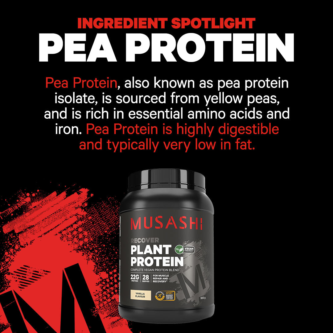 Musashi Plant Protein Powder - Ingredient Spotloight