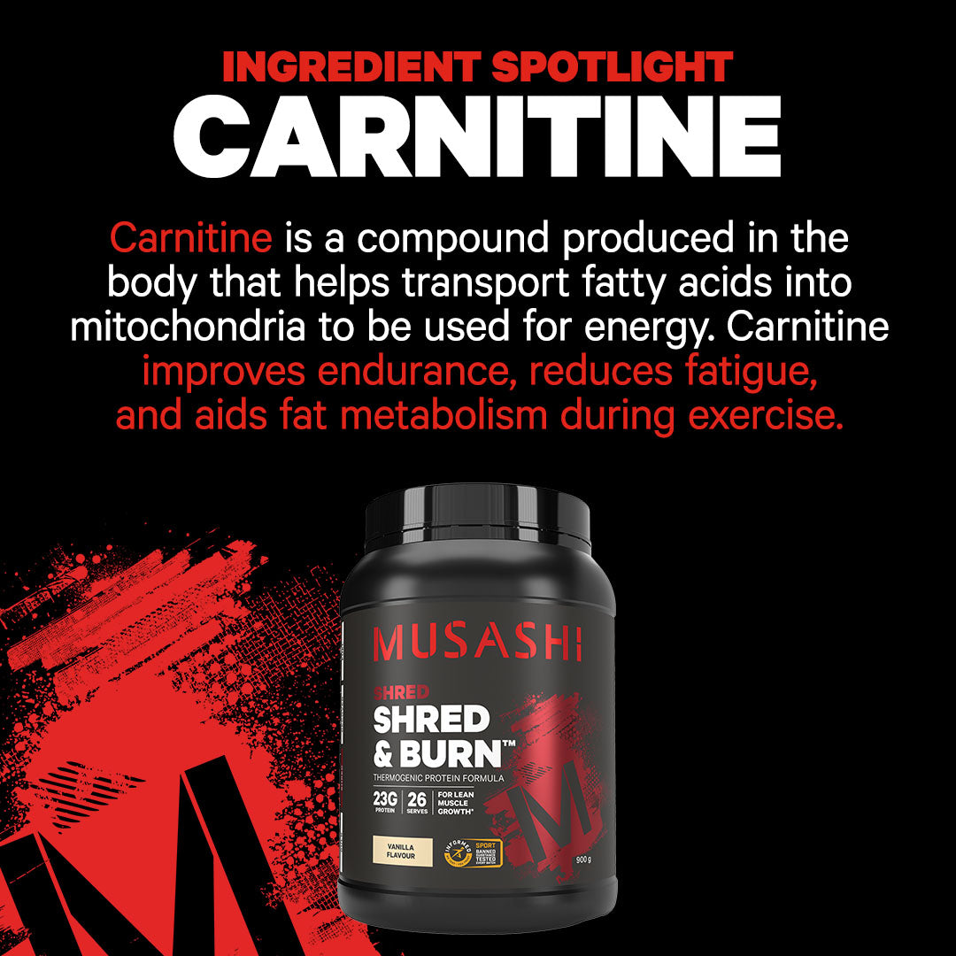 Musashi Shred & Burn Protein Powder - Ingredient Spotlight